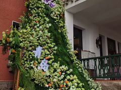 -中山路壹号传奇club·啤酒花园餐厅
