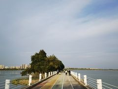 -贡湖湾湿地公园