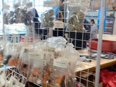 -蓝湾碧波·老字号·疍家非遗海上餐厅