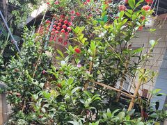 -阳光山水江湖菜馆(西山龙门店)