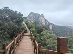 -大岭沟猕猴桃谷风景区