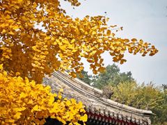 -承恩寺