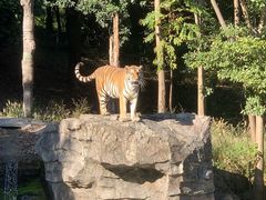 -宁波野生动物园