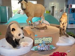 -陕西自然博物馆