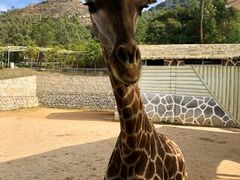 -泉州海丝野生动物世界