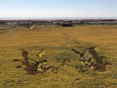-红海滩国家风景廊道