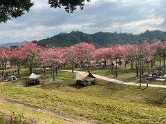 -风云岭森林公园