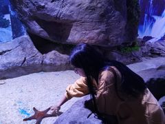 -多彩贵州城极地海洋世界