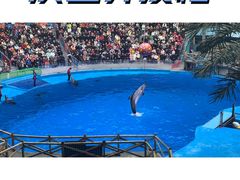 -海合安成都极地海洋公园