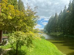 -黄海国家森林公园