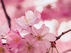 -凤来栖·净庭院·火锅(欧尚店)