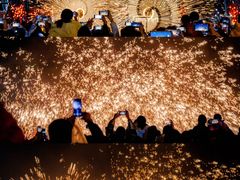 -武汉园博园(武汉自然博物馆)