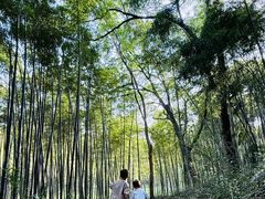 -采石矶景区