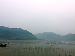 景点-北岐滩涂