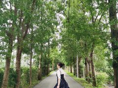 -上海长兴岛郊野公园