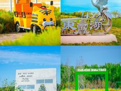 -天津东丽湖风景区