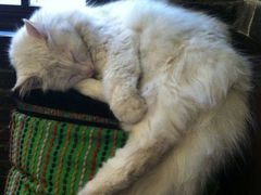 android_upload_pic-西塘明榉坊客栈