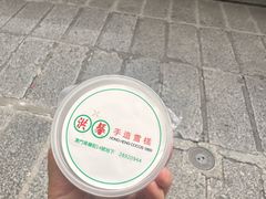 -洪馨椰子