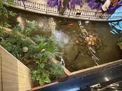 -九尊食上(生态园林酒店)