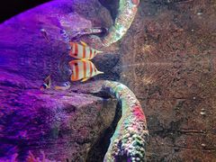 -沈阳海洋探索中心