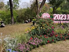 -人民公园(罗湖区)