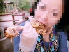-迪士尼火鸡腿