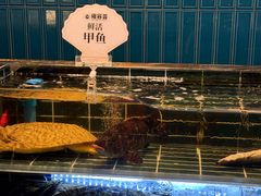 -雍容荟帝王蟹活龙虾展台自助(IFS黑金店)