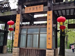 -溱湖国家湿地公园