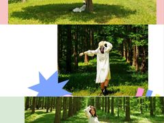 -黄海国家森林公园