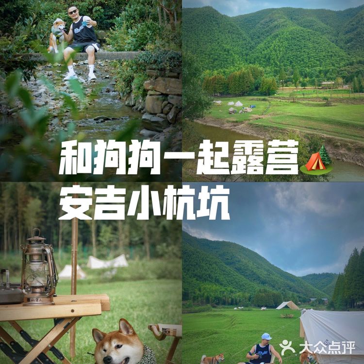 湖州安吉小杭坑营地｜可以带着狗狗🐶去的露营⛺地️