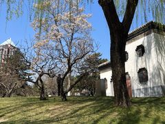 -团结湖公园