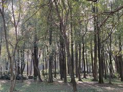 -东湖落雁景区