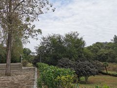 -万佛湖风景区