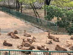 -柳州市动物园