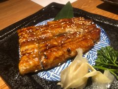 蒲烧鳗鱼-南风(淮海街店)