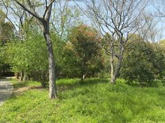 -东园小馆·早茶·淮扬小炒(宋夹城店)