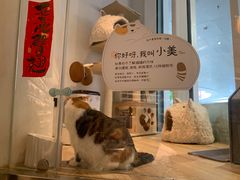 -黑胶星球(华发中城商都店)