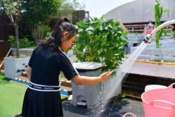 -小蜜蜂农场(凯德七宝购物广场店)