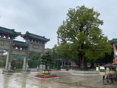 -广东圆玄道观