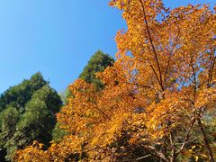 -森林公园(尖草坪区)