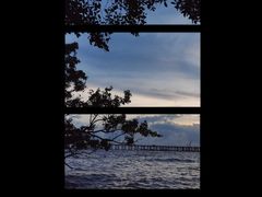 -宝安西湾红树林湿地公园