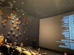 -星河寰宇IMAX影城(星河WORLD·COCO Park店)