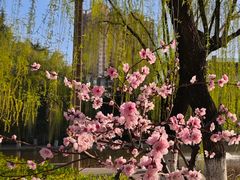 -西安市长乐公园