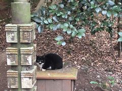 -珞珈山-售票处