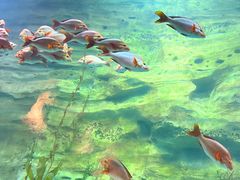 -珠海长隆海洋王国