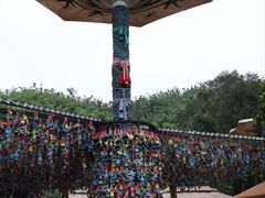 -西双版纳原始森林公园
