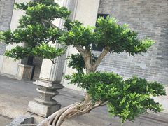 -资政大夫祠