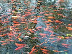 -水磨沟公园