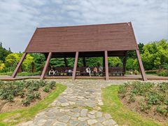 -上海滨江森林公园