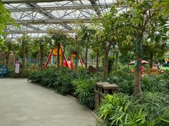 -南宫五洲植物乐园